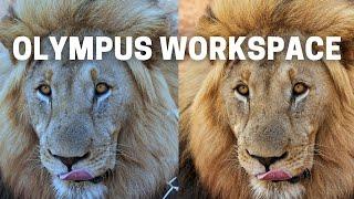 Olympus Workspace - Free & Powerful Editing Software For Beginners Using Olympus Cameras