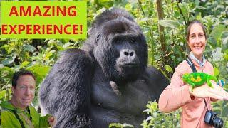 FANTASTISCHES GORILLA-TREKKING-ERLEBNIS!