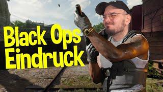 Ersteindruck Black Ops 6 Beta