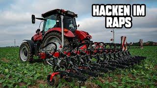 Wir hacken im Raps | Kverneland | Farming Week