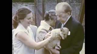 J. Paul Getty with Lions