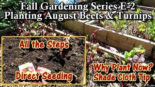 How to & Why You Plant Beets & Turnips in August: Cool Crops! Planting & Planning a Fall Garden E2