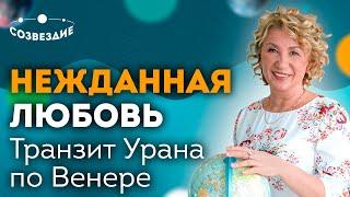 Транзит Урана по Венере // Нежданная любовь // Радикальные изменения // Елена Ушкова