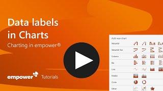 19   Data Labels   Charting with empower®