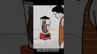 The cat in the blender (explained) #fyp #viral #catabuse #sad #tw #omg