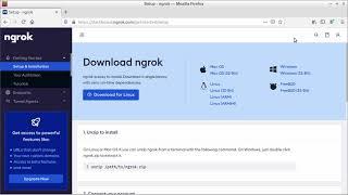 Expose Local Web server to Internet using Ngrok