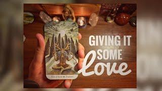 Will We Ever Get The Greenwood Tarot? ~ Time to Give The Wildwood Some Love!