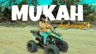 Short escape to Mukah / Mee Udang / Umai / Atv Ride