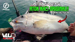 ATOK KACI GORGON kantoi TAK PUASA!! - Kayak Fishing Malaysia #VLUQ502