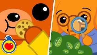 Os Cinco Sentidos     | Música Infantil | Um Herói do Coração ️