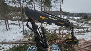 Ponsse  Ergo and Scropion Giant working to finish patch of Red Pine.