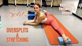 Splits, Oversplits, & Stretching for Gymnasts. Flexibility & Stretch Guide