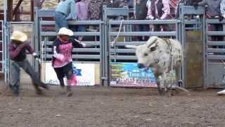 Chance Barnes Rodeos