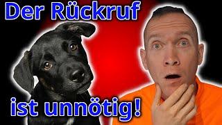 Die Grundkommandos sind egal! 5 unnötige Signale im Hundetraining, die Dich nicht voran bringen!