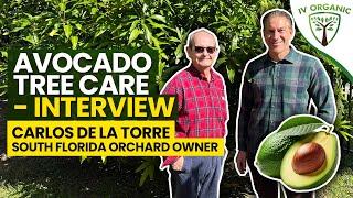 Avocado Tree Care (A to Z) Interview with @GraftingAvocados
