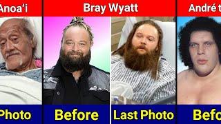 WWE Wrestlers Last Photo Before Died