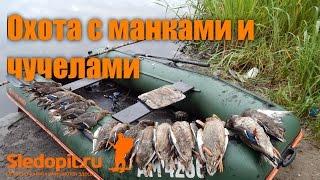 Охота на уток с манками и чучелами. Разливы и мелководье.