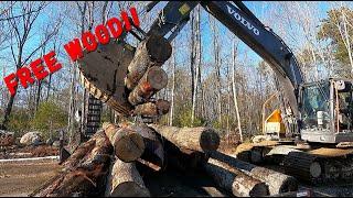 2 LOADS OF FREE WOOD AND SPLITTIN' BETWEEN STORMS!