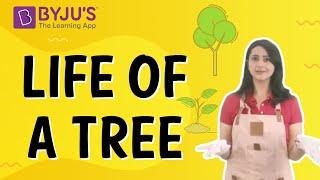 Life Of A Tree I Class 4 I Learn With BYJU'S