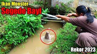 Rekor Baru...!!! Langsung Strike Ikan Monster Segede Bayi || Mancing Di Gorong² Pinggir Jalan