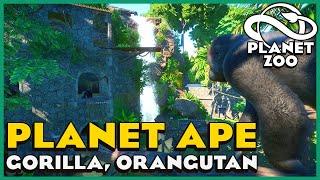 Planet Ape! Gorrilas, Orangutan & Mandrills! Planet Zoo: Zoo Spotlight 13