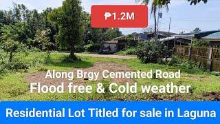 #Vlog245 Farm Lot/Residential Lot Titled for sale ₱1.2M Along Brgy Cemented Road