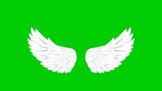 Angel wing Green screen || Green screen Angel & Demon wings video effects || Mondal Screen