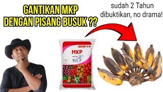 MKP Kalium Phospat Organik dari Pisang Busuk , sudah di test lapangan 2 tahun !!.