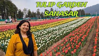 Tulip Garden Sanasar