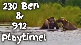 230 Ben & 912 ▪︎ FUN Playtime Bitey Face ▪︎ Riverwatch ▪︎ Katmai Brown Bears ▪︎ Explore.org