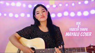 Mayalu (Cover by Supriya Gurung) || Vek X Yabesh Thapa