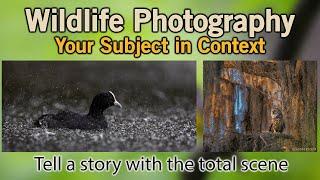 Wildlife Photography and Context.... Tell a Story with a Complete Scene