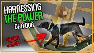 I Brought Back this 15th Century Dog Powered Technology
