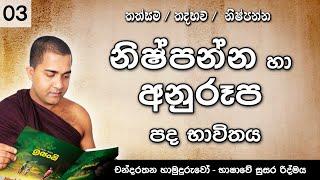 නිෂ්පන්න හා අනුරූප පද | චන්දරතන හාමුදුරුවෝ | Nishpanna | Chandarathana Hamuduruwo