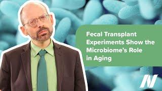 Fecal Transplant Experiments Show the Microbiome’s Role in the Aging Process