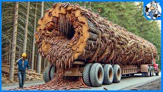 Extreme Dangerous Big Logging Wood Truck Driving Skill | Extreme Dangerous Transport Skill #122