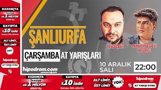 11 Aralık 2024 // Şanlıurfa At Yarış Tahminleri // Muhammed Salih Yardımcı - Yener Çelik