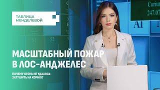 Масштабный пожар в Лос-Анджелес. Почему знаменитости в спешке покидали свои особняки?