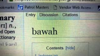 Cameron's first word...BAWA?