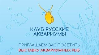 О Выставке. Продажа Рыбок, Участники, Интересности, Когда...