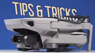 10 BEST Mavic Mini Tips and Tricks | FREE LUTs, Preflight Checklist & Getting Started Course