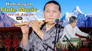 Himalayan Flute Music | Morning Flute Music | Flute Song | Bansuri | Basuridhun | Instrumental Music