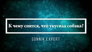 К чему снится, что укусила собака - Онлайн Сонник Эксперт