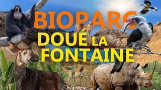 Bioparc Doué-la-Fontaine – Der schönste Zoo Frankreichs? | Zoo-Eindruck