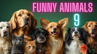 Funny animals Amazing video compilation 9