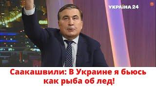 Саакашвили: В Украине я бьюсь как рыба об лед.