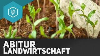 Landwirtschaft Zusammenfassung fürs Abitur - Landwirtschaft in Industrieländern 9