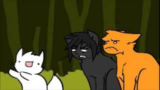 Cloudpaw Joins Thunderclan