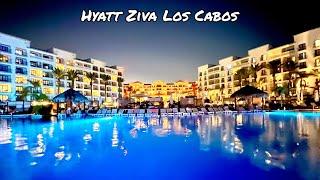 Why Hyatt Ziva Los Cabos Is The #1 Most Popular Hotel in Cabo ️