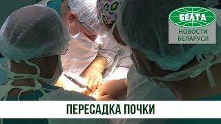 Как проходит пересадка почки